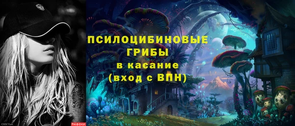 сатива Алзамай