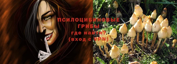 герыч Алексин